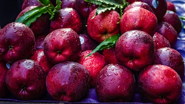 Red apples with water splashed