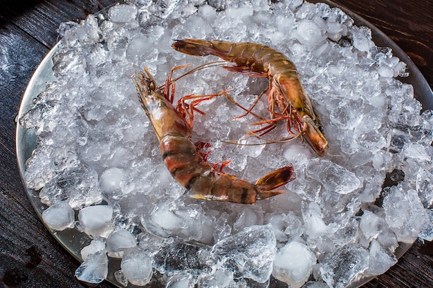 Red argentine shrimp head on ice