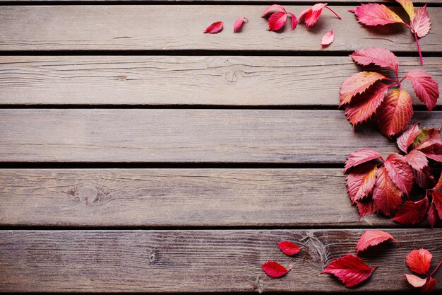 Red autumn leaves on old wooden background