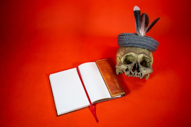 開いているノートブックと羽飾り付きの頭蓋骨と赤の背景。