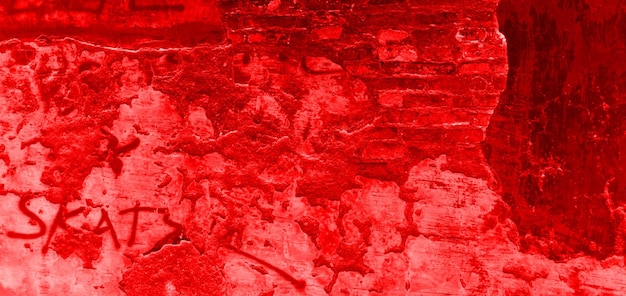 A red background with a white text that says " red ".