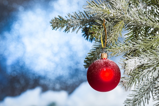 Red bauble on green Christmas fir tree on snowy background