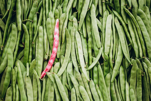 Red bean pod among a large number of green bean pods