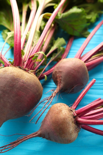 Red Beetroot with green leaves on blue background Organic Beetroot Vertical photo