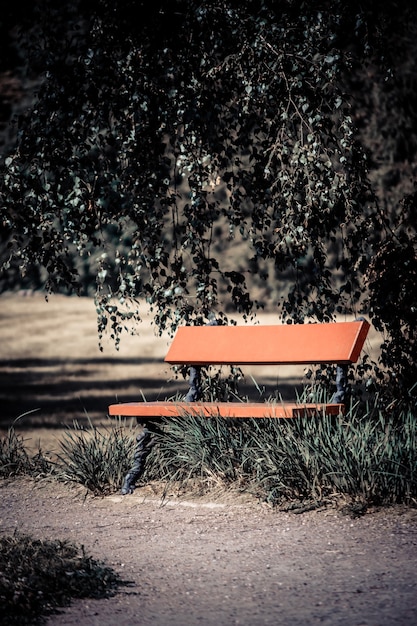 Red Bench in the park copy space Dark filter