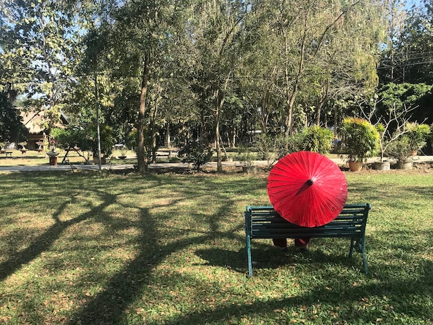 Photo red bench in park