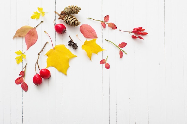 Red berriaes and  autumn leaves on white wooden background