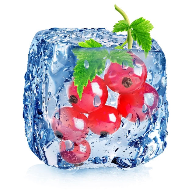 Red berries of currant in ice cube isolated on white