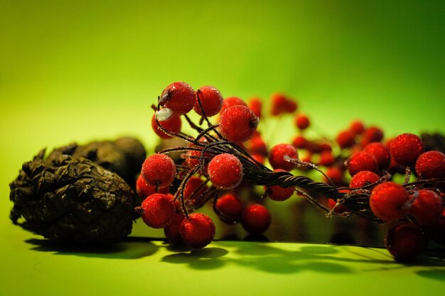 Red berries and fir cones on a green background Winter and christmas