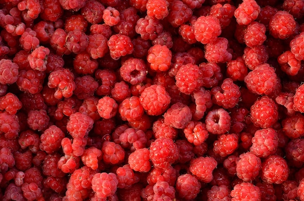 Red berries raspberries seamless background