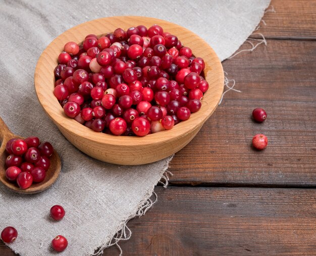 Red berries of ripe lingonberries 