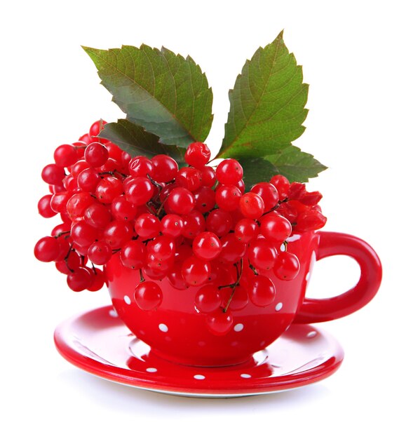 Red berries of viburnum  in cup, isolated on white