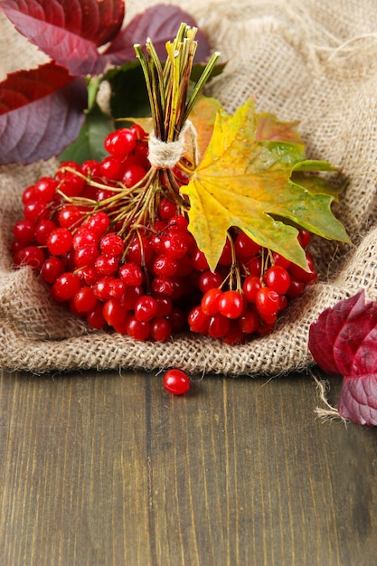 Red berries of viburnum on sackcloth napkin, on wooden table