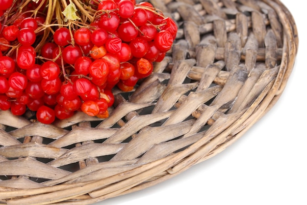 Red berries of viburnum on wicker mat close-up