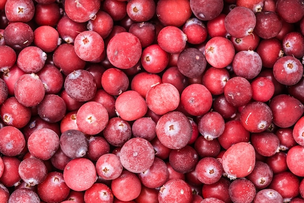 Red berry cranberries close-up