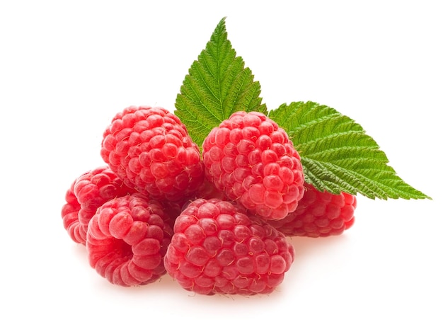 Red berry raspberry isolated on white background