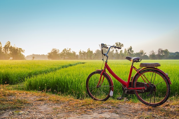 Red bicycle with rural view background