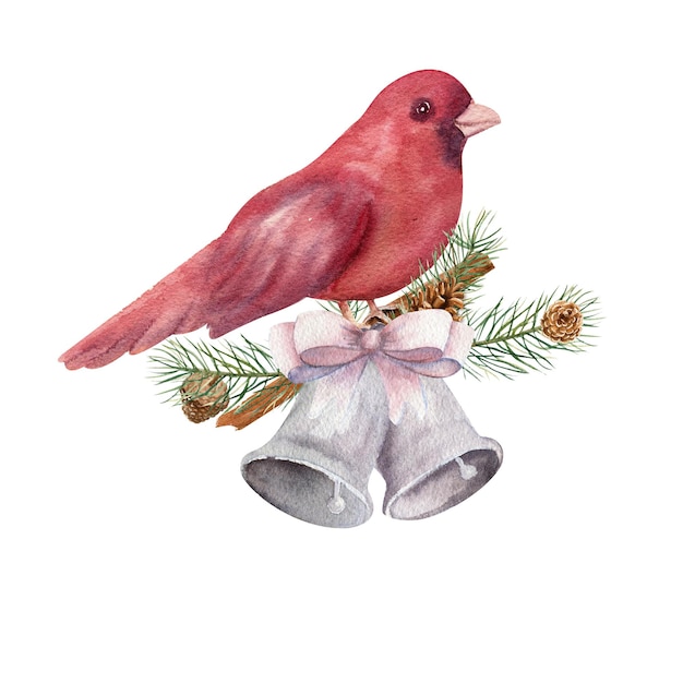 A red bird sits on a decorated spruce branch. Winter watercolor illustration.