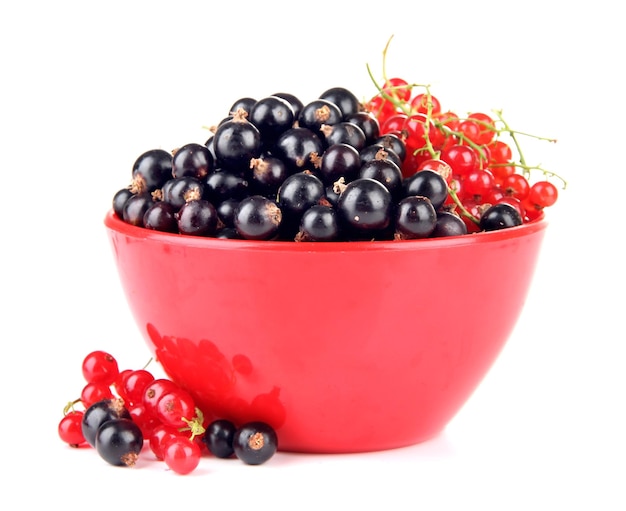 Red and black currant in bowl isolated on white