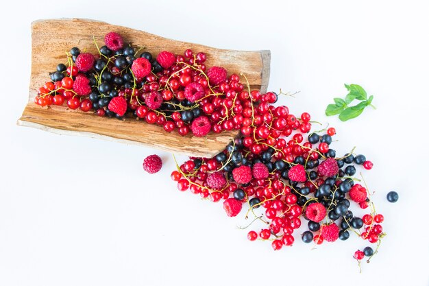 Red and black currant and loganberries on the white background. Large group of colorful berries.