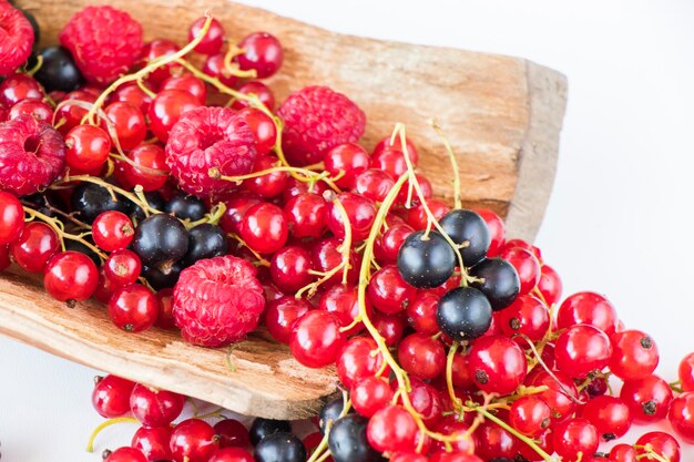 Red and black currant and loganberries on the white background. Large group of colorful berries.