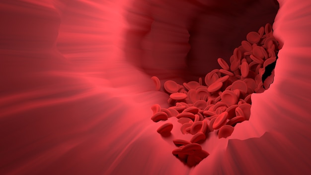 Красная кровяная клетка в кровеносном сосуде тела