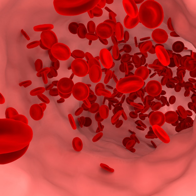 Красная кровяная клетка в кровеносном сосуде.