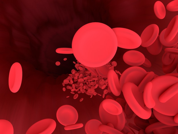 Red blood cell is flowing in blood vessel of body. Science graphic for education of school. 3D rendering.