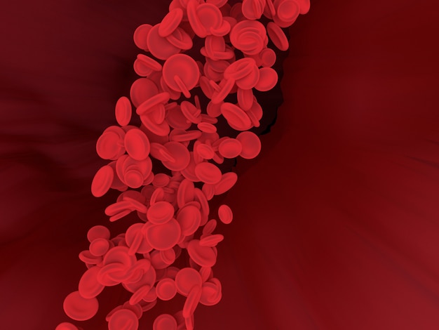 Red blood cell is flowing in blood vessel of body. Science graphic for education of school. 3D rendering.