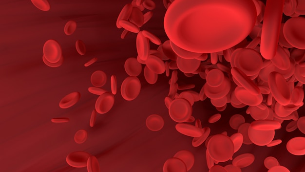 Photo red blood cell is moving in blood vessel