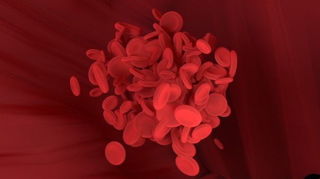 Red blood cell is moving in blood vessel