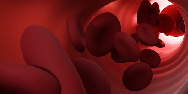 Red blood cells flowing through the veins