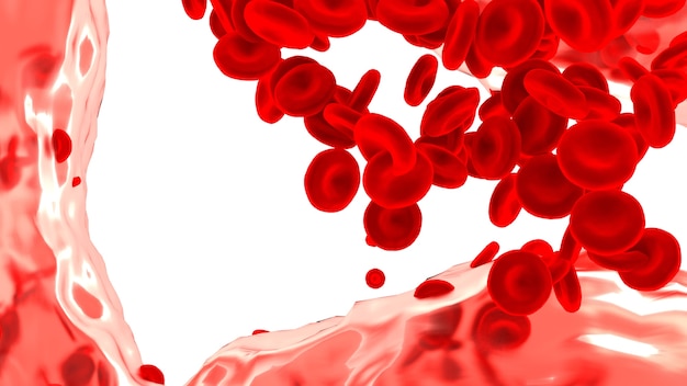 Red blood cells isolated on white background. 