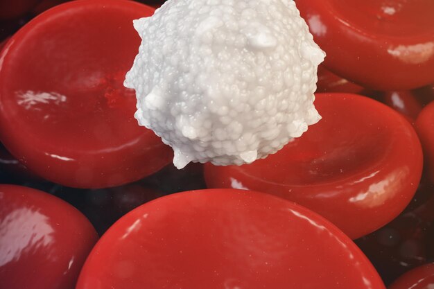 I globuli rossi, leucociti o globuli bianchi, sono le cellule del sistema immunitario, l'infezione. concetto medico dell'essere umano. illustrazione 3d.