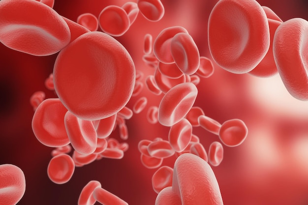赤血球：酸素の持ち越し、pH血液の調節、食物、および生物のケージの保護に関与します。 3Dレンダリング