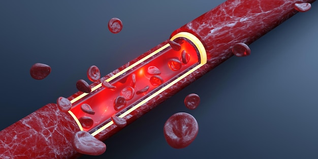 Red blood cells skin layer veins 3d illustration intravascular surgery