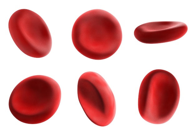 Red blood cells on a white background Scientific and medical concept 3d illustration