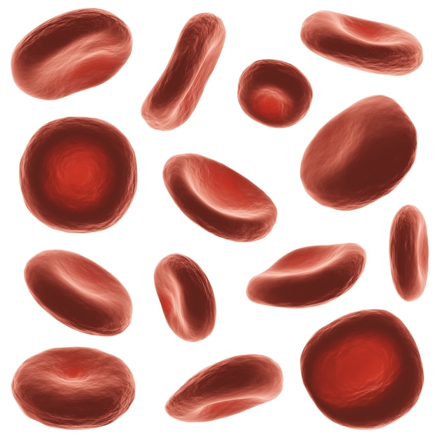 Red blood cells with high detailed surface isolated on white background 3D rendering