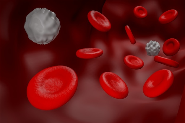 Photo red blood and white blood cell