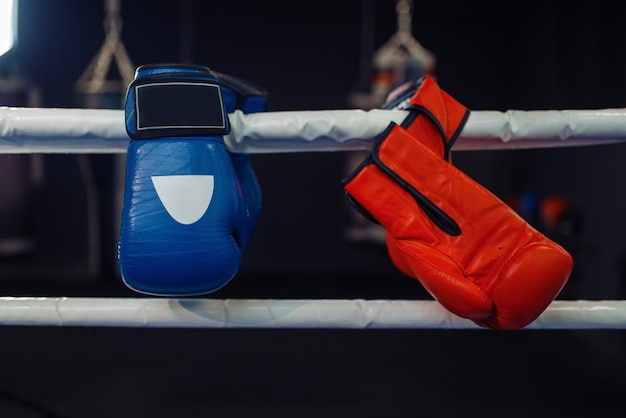 Photo red and blue boxing gloves on a ropes