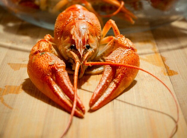 Photo red boiled crayfish astacus astacus with pincers close up