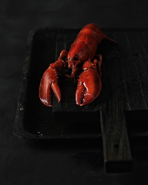 red boiled lobster on black background