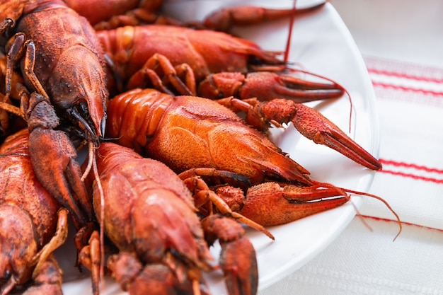 Red boiled lobsters on a white plate