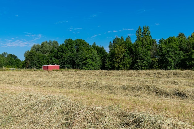 Red booth at the edge of the field with fresh cut hay