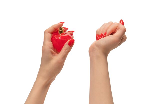 白い背景で隔離赤い爪を持つ女性の手で香水の赤いボトル