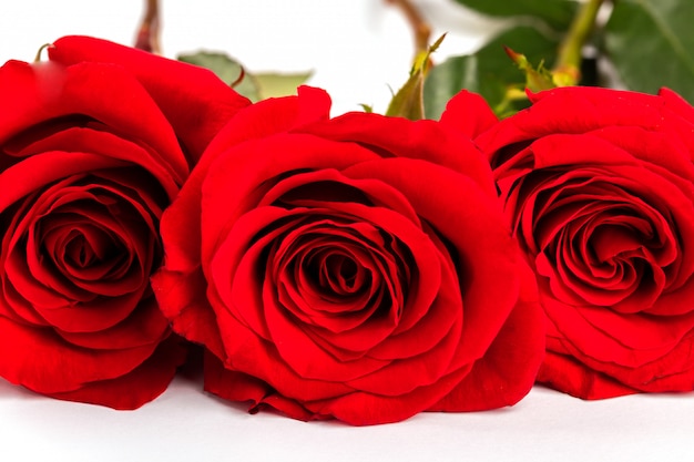 Red Bouquet of fresh roses .Traditional gift holiday