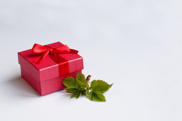 A red box with a satin bow on top next to a twig with green leaves on a white background