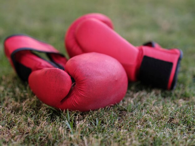 Red boxing gloves on the grass