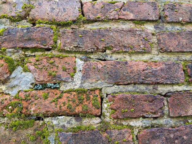 Red brick wall background with green grass, texture of old red bricks
