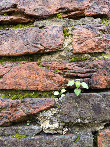 Фон стены из красного кирпича с зеленой травой, текстура старых красных кирпичей